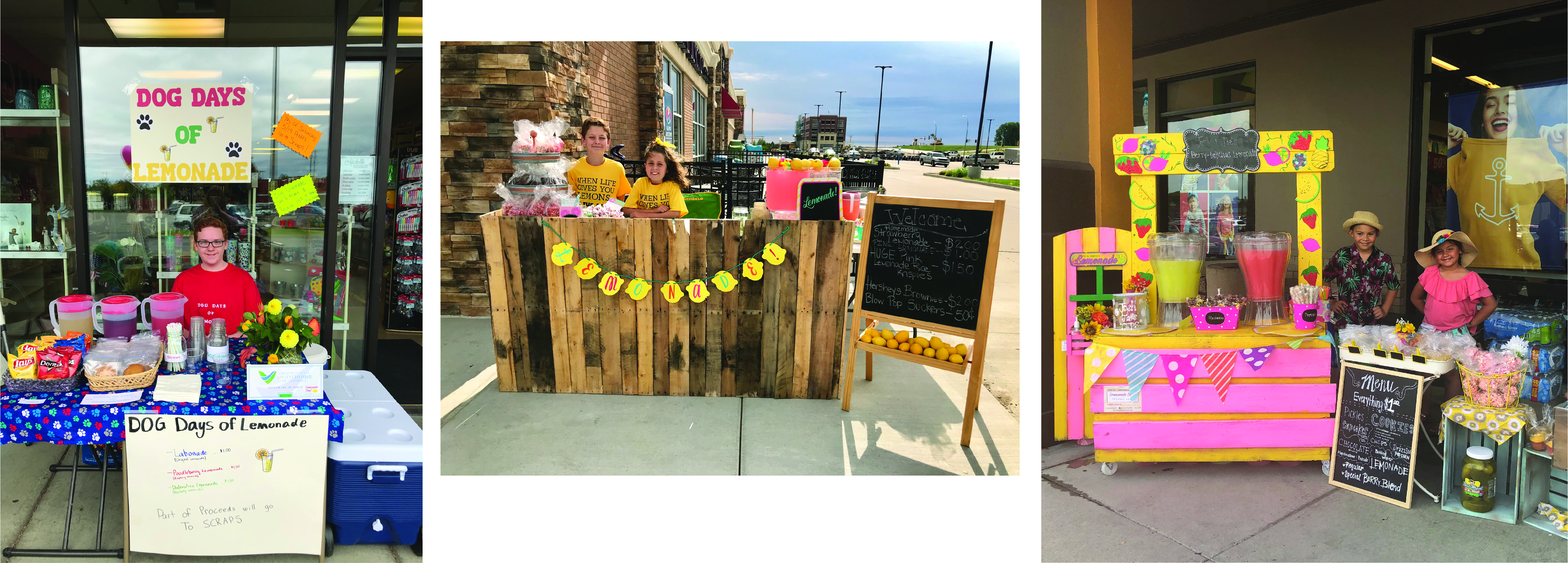 Lemonade Day Stands